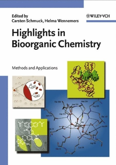 Helma Wennemers, Carsten Schmuck - Highlights in Bioorganic Chemistry, E-bok
