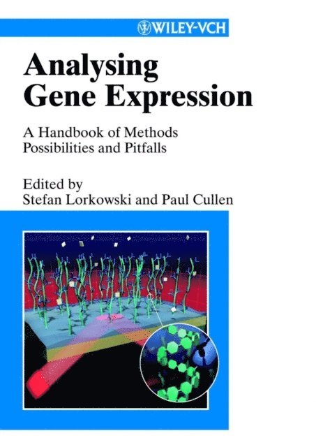 Paul M. Cullen, Stefan Lorkowski - Analysing Gene Expression, E-bok
