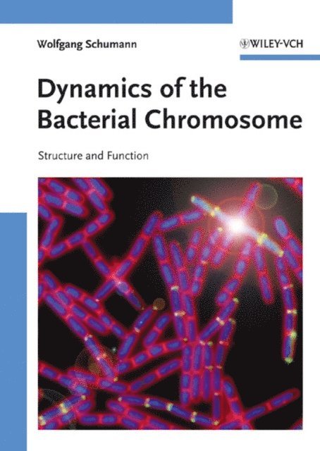 Wolfgang Schumann - Dynamics of the Bacterial Chromosome, E-bok