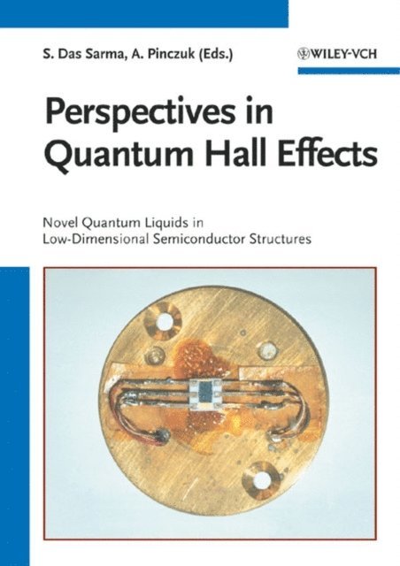 Aron Pinczuk, Sankar Das Sarma - Perspectives in Quantum Hall Effects, E-bok