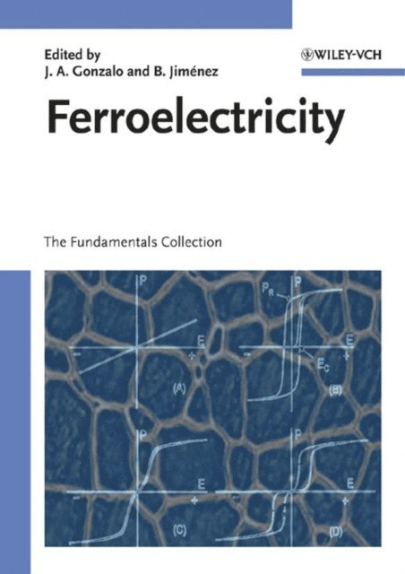 Basilio Jim nez, Julio A. Gonzalo - Ferroelectricity, E-bok