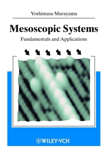 Yoshimasa Murayama - Mesoscopic Systems, E-bok