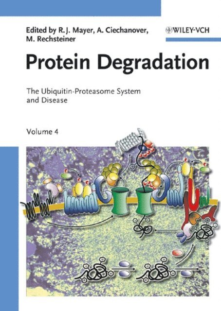 Martin Rechsteiner, Aaron J. Ciechanover, R. John Mayer - Ubiquitin-Proteasome System and Disease, E-bok