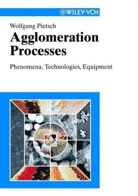 Wolfgang B. Pietsch - Agglomeration Processes, E-bok