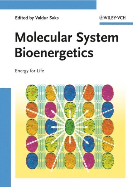 Valdur Saks - Molecular System Bioenergetics, E-bok