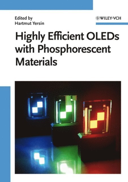 Hartmut Yersin - Highly Efficient OLEDs with Phosphorescent Materials, E-bok