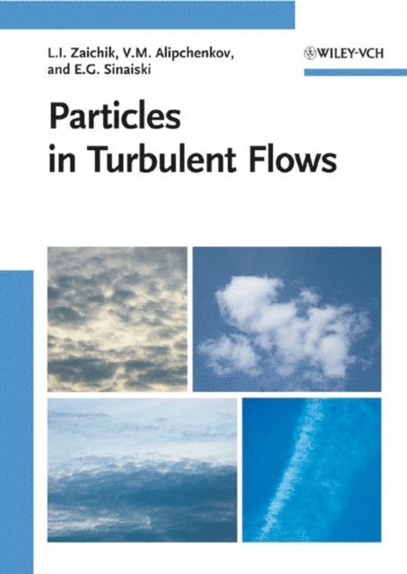 Emmanuil G. Sinaiski, Vladimir M. Alipchenkov, Leonid I. Zaichik - Particles in Turbulent Flows, E-bok