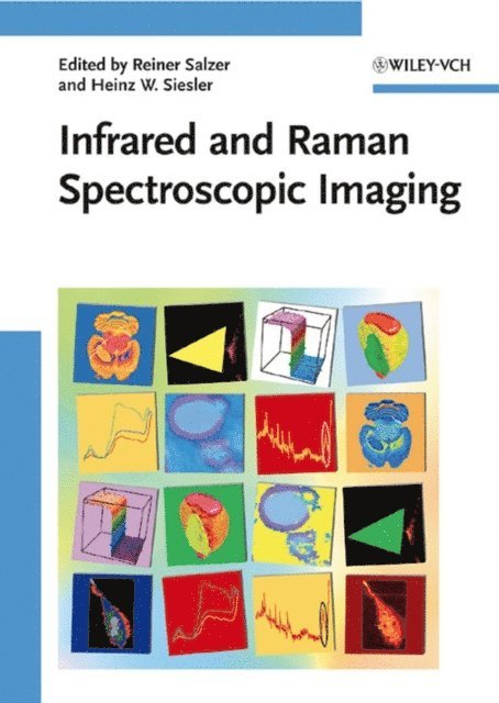 Heinz W. Siesler, Reiner Salzer - Infrared and Raman Spectroscopic Imaging, E-bok