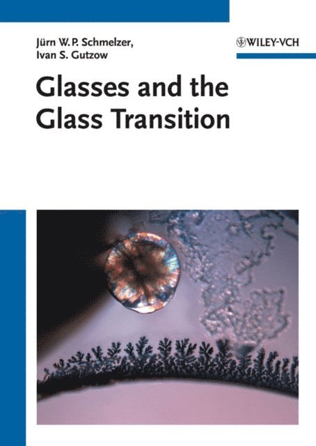 Alexander I. Priven, Boris B. Petroff, Snejana V. Todorova, J rn W. P. Schmelzer, Oleg V. Mazurin, Ivan S. Gutzow - Glasses and the Glass Transition, E-bok
