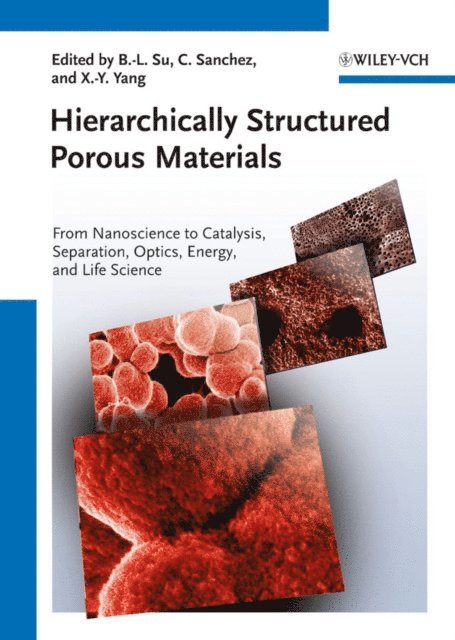 Xiao-Yu Yang, Clement Sanchez, B.-L. Su - Hierarchically Structured Porous Materials, E-bok