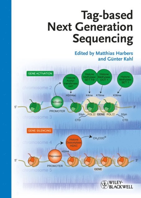 Guenter Kahl, Matthias Harbers - Tag-based Next Generation Sequencing, E-bok