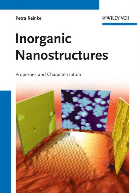 Petra Reinke - Inorganic Nanostructures, E-bok