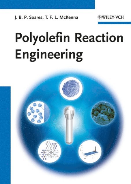 Timothy F. L. McKenna, Joao B. P. Soares - Polyolefin Reaction Engineering, E-bok