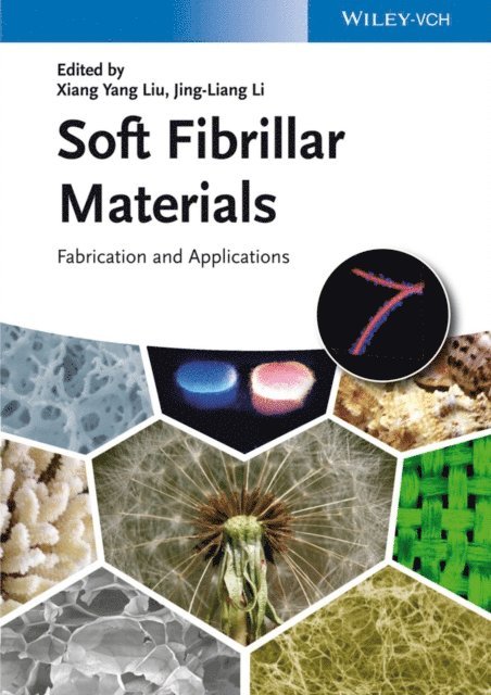 Xiang Yang Liu, Jing Liang Li - Soft Fibrillar Materials, E-bok