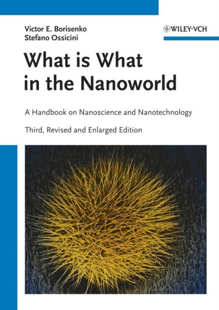 Stefano Ossicini, Victor E. Borisenko - What is What in the Nanoworld, E-bok