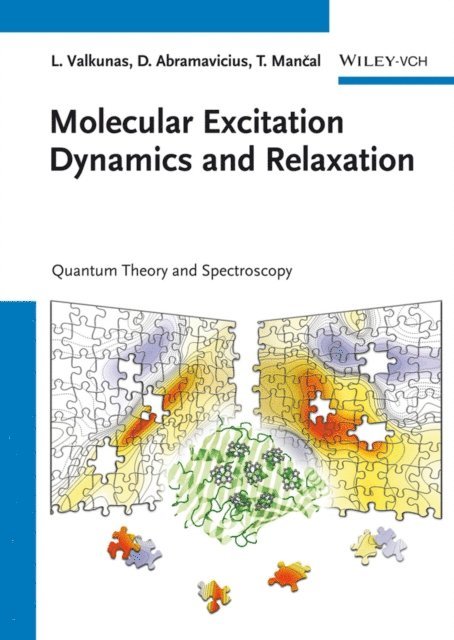 Tom s Mancal, Darius Abramavicius, Leonas Valkunas - Molecular Excitation Dynamics and Relaxation, E-bok
