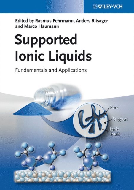 Marco Haumann, Anders Riisager, Rasmus Fehrmann - Supported Ionic Liquids, E-bok