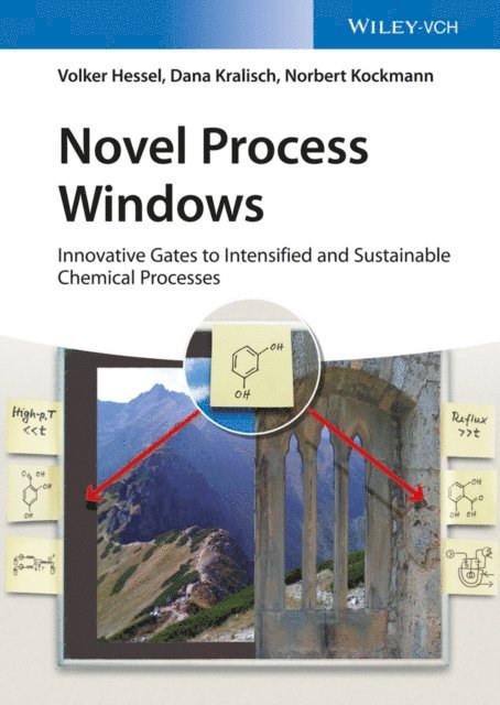 Norbert Kockmann, Dana Kralisch, Volker Hessel - Novel Process Windows, E-bok