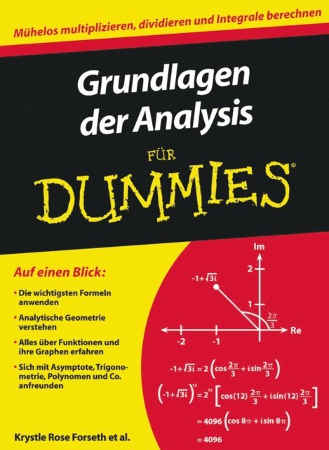 Deborah J. Rumsey, Michelle Rose Gilman, Christopher Burger, Krystle Rose Forseth - Grundlagen der Analysis für Dummies, E-bok