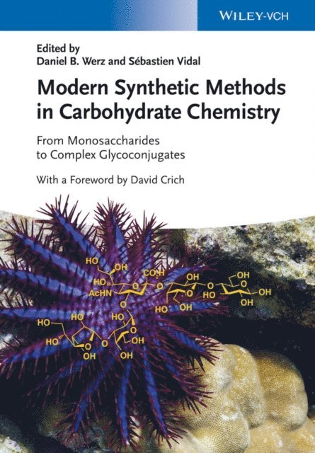 Sebastien Vidal, Daniel B. Werz - Modern Synthetic Methods in Carbohydrate Chemistry, E-bok