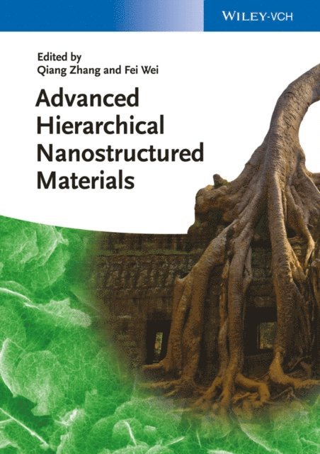Fei Wei, Qiang Zhang - Advanced Hierarchical Nanostructured Materials, E-bok