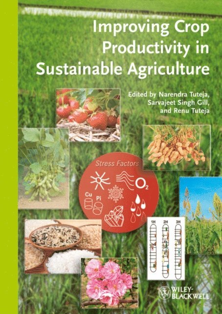 Renu Tuteja, Sarvajeet S. Gill, Narendra Tuteja - Improving Crop Productivity in Sustainable Agriculture, E-bok
