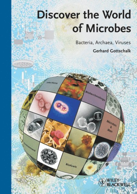 Gerhard Gottschalk - Discover the World of Microbes, E-bok