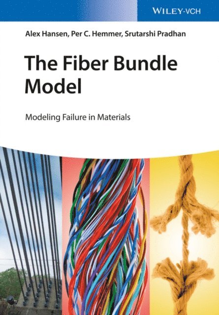 Srutarshi Pradhan, Per Christian Hemmer, Alex Hansen - Fiber Bundle Model, E-bok