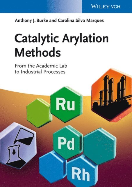 Carolina Silva Marques, Anthony J. Burke - Catalytic Arylation Methods, E-bok