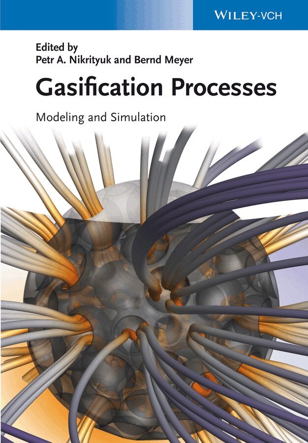 Petr A. Nikrityuk, Bernd Meyer - Gasification Processes, E-bok