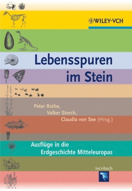Claudia von See, Volker Storch, Peter Rothe - Lebensspuren im Stein, E-bok