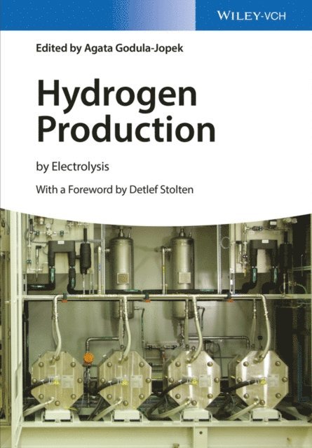 Agata Godula-Jopek - Hydrogen Production, E-bok