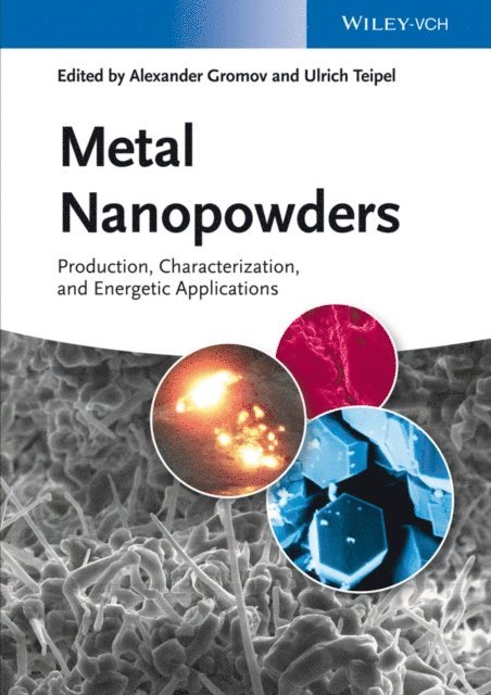 Ulrich Teipel, Alexander A. Gromov - Metal Nanopowders, E-bok