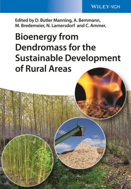 Christian Ammer, Norbert Lamersdorf, Michael Bredemeier, Albrecht Bemmann, David Butler Manning - Bioenergy from Dendromass for the Sustainable Development of Rural Areas, E-bok