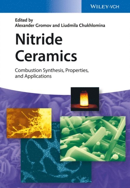 Liudmila N. Chukhlomina, Alexander A. Gromov - Nitride Ceramics, E-bok