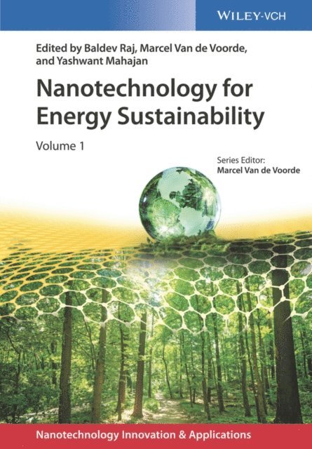 Yashwant Mahajan, Marcel Van de Voorde, Baldev Raj - Nanotechnology for Energy Sustainability, E-bok
