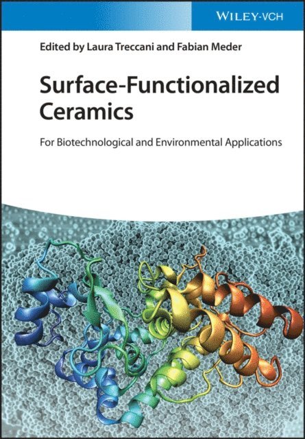 Fabian Meder, Laura Treccani - Surface-Functionalized Ceramics, E-bok