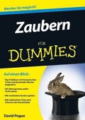 Zaubern fr Dummies