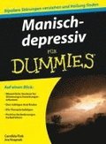 Manisch-depressiv fr Dummies