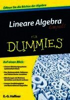 Ernst Georg Haffner - Lineare Algebra kompakt für Dummies, Häftad