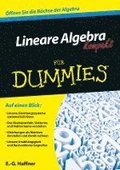 Lineare Algebra kompakt fr Dummies