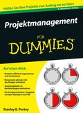 Projektmanagement fur Dummies