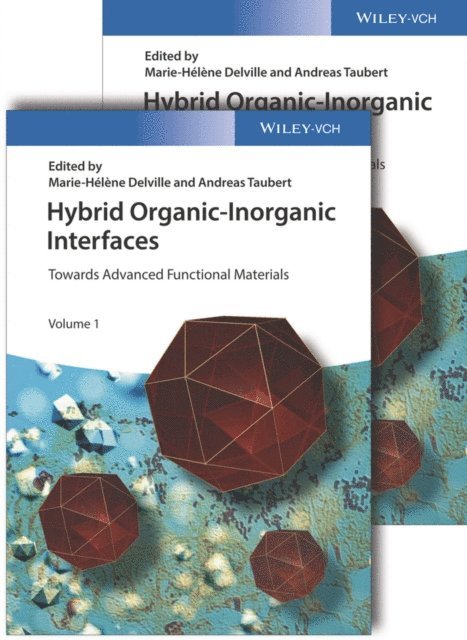 Andreas Taubert, Marie Helene Delville - Hybrid Organic-Inorganic Interfaces, E-bok