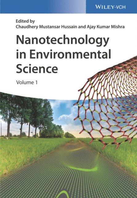 Ajay Kumar Mishra, Chaudhery Mustansar Hussain - Nanotechnology in Environmental Science, E-bok