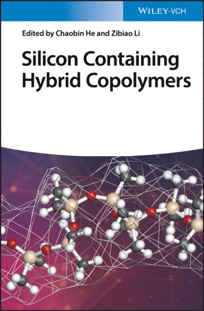 Zibiao Li, Chaobin He - Silicon Containing Hybrid Copolymers, E-bok