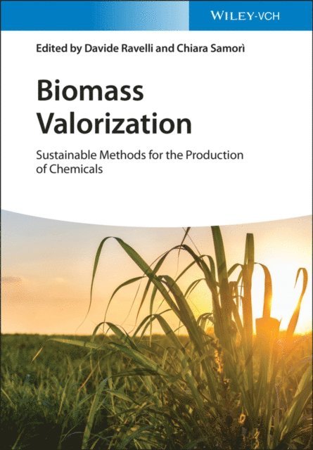 Chiara Samori, Davide Ravelli - Biomass Valorization, E-bok