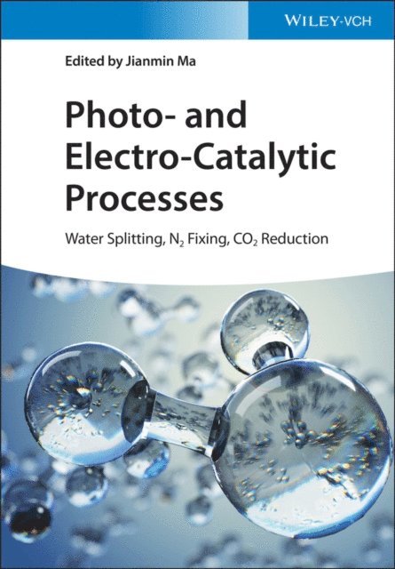 Jianmin Ma - Photo- and Electro-Catalytic Processes, E-bok