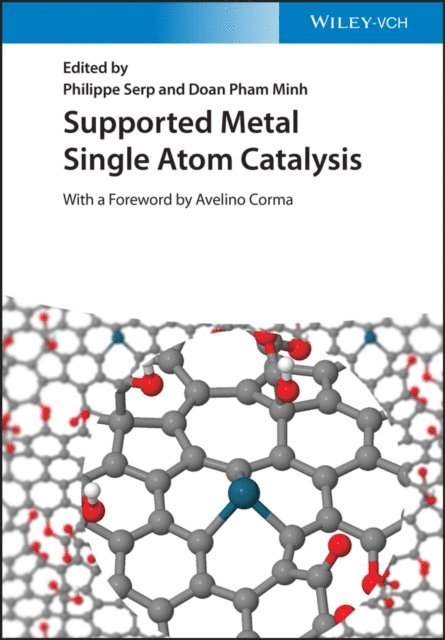 Doan Pham Minh, Philippe Serp - Supported Metal Single Atom Catalysis, E-bok