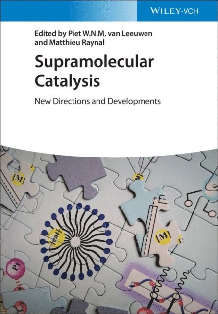Matthieu Raynal, Piet W. N. M. van Leeuwen - Supramolecular Catalysis, E-bok