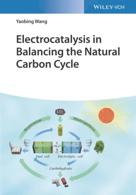 Yaobing Wang - Electrocatalysis in Balancing the Natural Carbon Cycle, E-bok